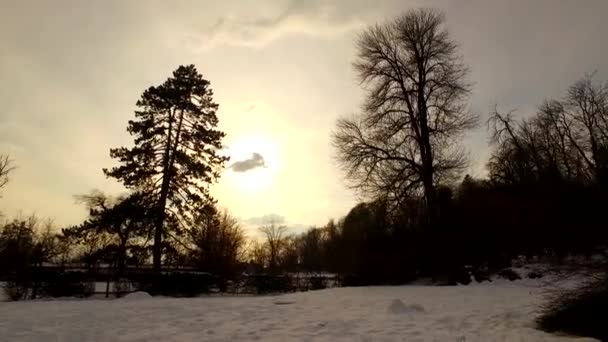 День Закінчується Холодному Зимовому Парку Захід Сонця Небі Хмари Силуети — стокове відео