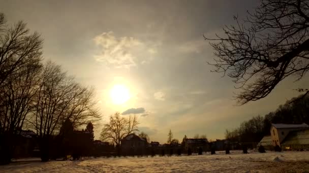 Dag Slutar Kall Vinterpark Solnedgång Himlen Moln Och Silhuetter Träd — Stockvideo