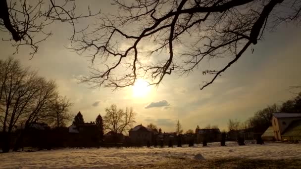 Dag Eindigt Een Koud Winterpark Zonsondergang Aan Hemel Wolken Silhouetten — Stockvideo