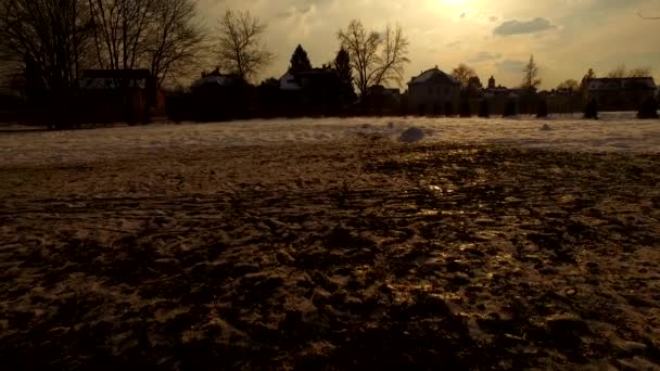 Dag Eindigt Een Koud Winterpark Zonsondergang Aan Hemel Wolken Silhouetten — Stockvideo