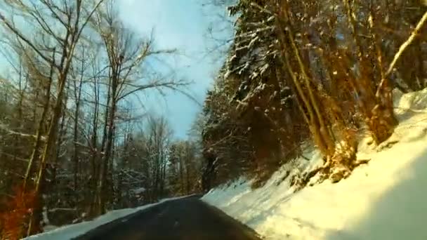Водіння Пагорбі Похмуру Туманну Погоду Машиною Використовувана Стабілізована Камера — стокове відео