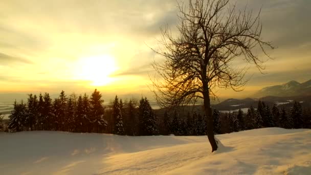 Tramonto Montagne Boschi Prati Inverno — Video Stock