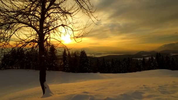 Zachód Słońca Nad Górami Lasami Łąkami Zimowymi — Wideo stockowe