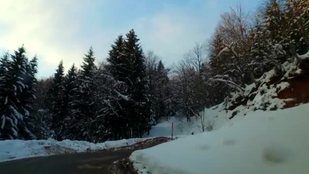 Bergauf Fahren Bei Bewölktem Nebel Mit Dem Auto Stabilisierte Kamera — Stockvideo