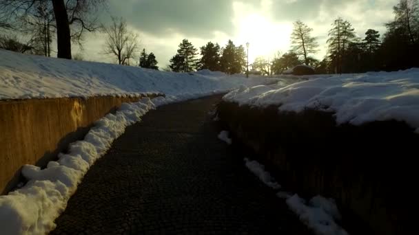 Menschen Einem Kalten Schneebedeckten Winterpark — Stockvideo