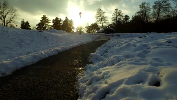 Mensen Een Koud Winterpark Bedekt Met Sneeuw — Stockvideo