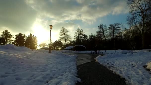 Gente Parque Invierno Frío Cubierto Nieve — Vídeos de Stock