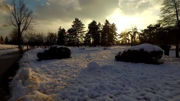 Dag Eindigt Een Koud Winterpark Bedekt Met Sneeuw Koude Dag — Stockvideo