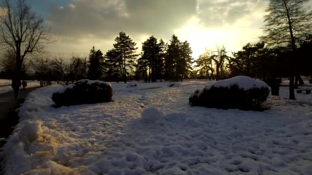 Day Ends Cold Winter Park Covered Snow Cold Day Evening — Stock Video