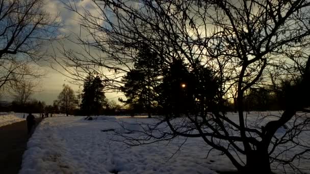 白天在一个寒冷的冬季公园结束 覆盖着雪 寒冷的一天夜幕降临 — 图库视频影像