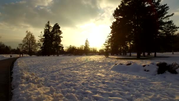 Dia Termina Parque Inverno Frio Coberto Com Neve Dia Frio — Vídeo de Stock