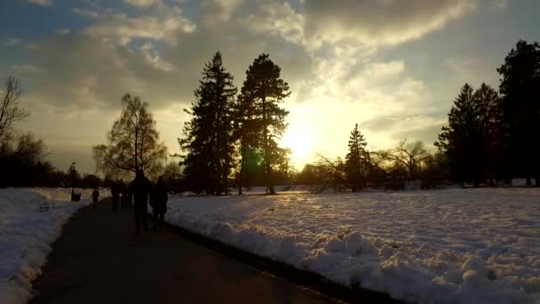Dzień Kończy Się Zimowym Parku Pokryty Śniegiem Zimny Dzień Nadchodzi — Wideo stockowe