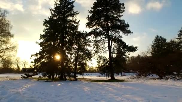 Day Ends Cold Winter Park Covered Snow Cold Day Evening — Stock Video