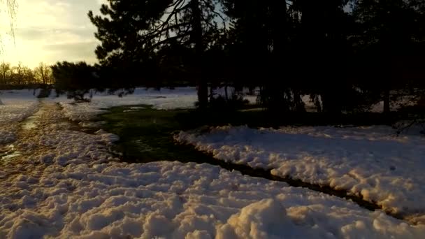 Der Tag Endet Einem Kalten Winterpark Mit Schnee Bedeckt Kalter — Stockvideo