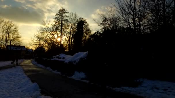 Der Tag Endet Einem Kalten Winterpark Mit Schnee Bedeckt Kalter — Stockvideo