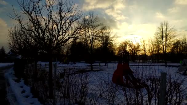 白天在一个寒冷的冬季公园结束 覆盖着雪 寒冷的一天夜幕降临 — 图库视频影像