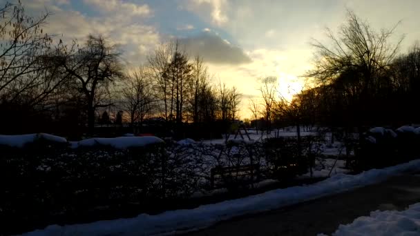 Dagen Slutar Kall Vinterpark Täckt Med Snö Kall Dag Kvällen — Stockvideo