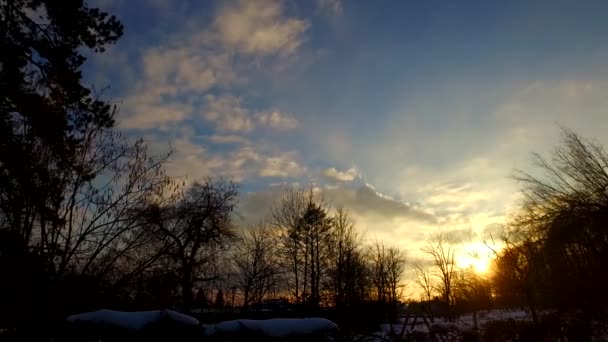 Dia Termina Parque Inverno Frio Coberto Com Neve Dia Frio — Vídeo de Stock