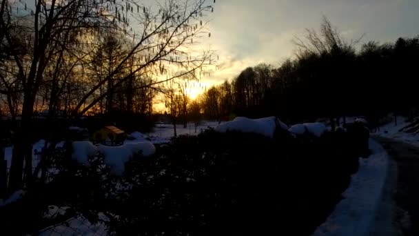 Dagen Slutar Kall Vinterpark Täckt Med Snö Kall Dag Kvällen — Stockvideo