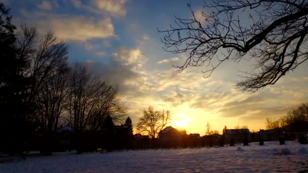 Día Termina Frío Parque Invierno Codiciado Con Nieve Día Frío — Vídeo de stock