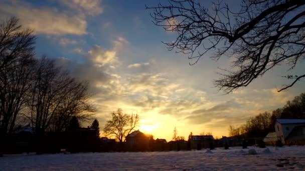 Dzień Kończy Się Zimowym Parku Pokryty Śniegiem Zimny Dzień Nadchodzi — Wideo stockowe