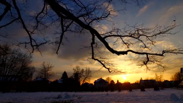 Vacker Solnedgång Kall Vinterstad Med Hus Silhuetter Skuggor Träd — Stockvideo