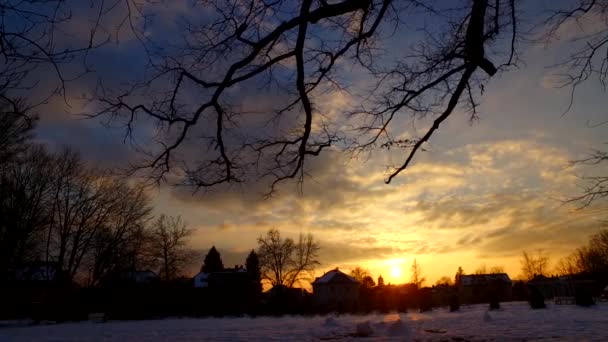 Прекрасний Захід Сонця Холодному Зимовому Місті Будиночками Силуетами Тінями Дерев — стокове відео