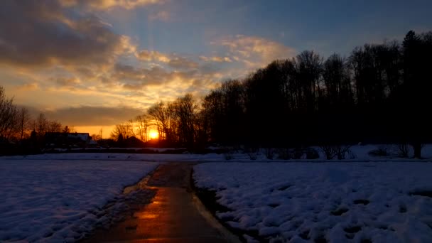 Weg Kalten Winterpark Und Intensive Sonnenuntergangsfarben — Stockvideo