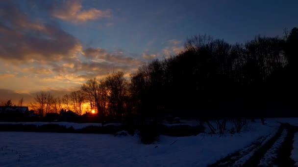 Beautiful Sunset Cold Winter Town Houses Silhouettes Shadows Trees — Stock Video