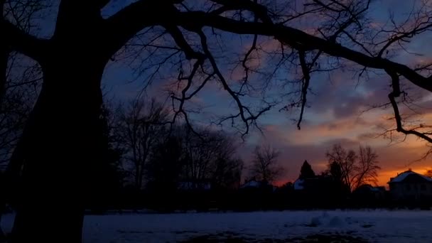 Закат Холодном Зимнем Городе Силуэтами Домов Тенями Деревьев — стоковое видео