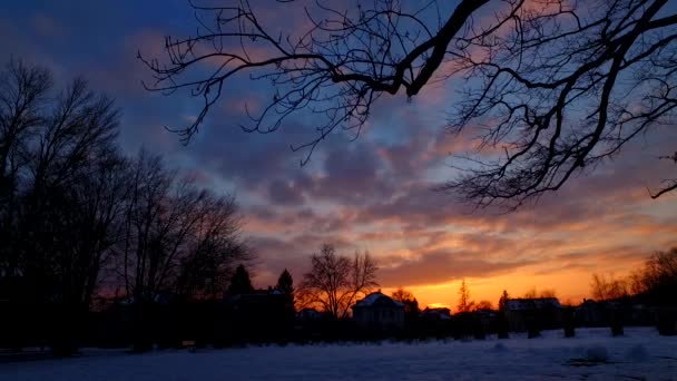 Закат Холодном Зимнем Городе Силуэтами Домов Тенями Деревьев — стоковое видео