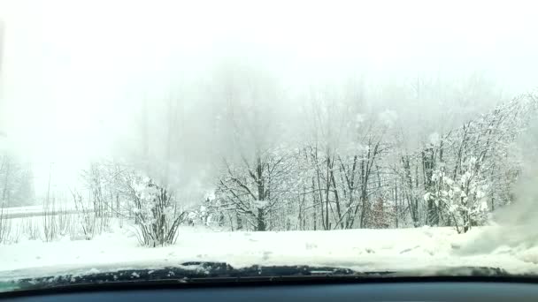 激しい雪吹雪 ぬれた雪と雪の嵐 車内から見ると — ストック動画