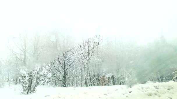 Heftiger Schneesturm Schneesturm Mit Nassem Schnee Beobachten Sie Aus Dem — Stockvideo