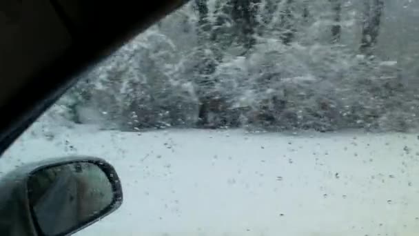 Heftiger Schneesturm Schneesturm Mit Nassem Schnee Beobachten Sie Aus Dem — Stockvideo