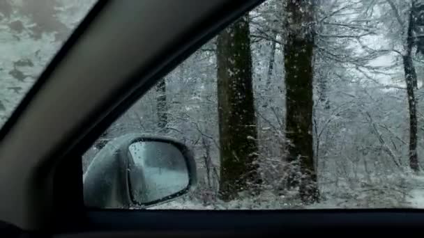 Severe Snow Blizzard Snow Storm Wet Snow Observing Car Interior — Stock Video