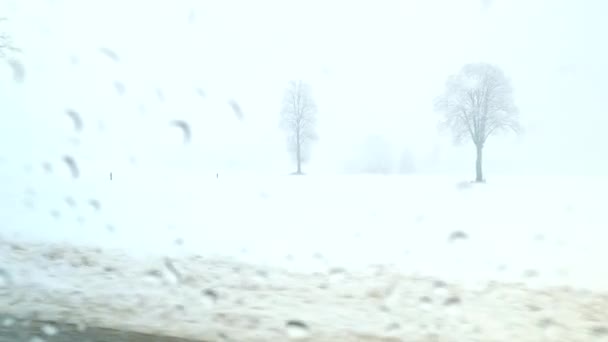 Ernstige Sneeuwstorm Sneeuwstorm Met Natte Sneeuw Het Observeren Van Het — Stockvideo