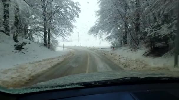 Severe Snow Blizzard Snow Storm Wet Snow Observing Car Interior — Stock Video