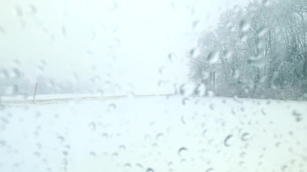 Severe Snow Blizzard Snow Storm Wet Snow Observing Car Interior — Stock Video