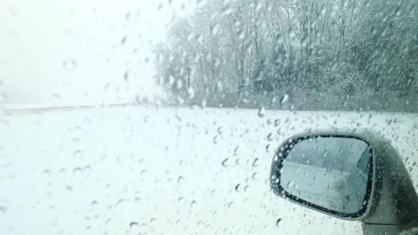 Observing Cold Snow Winter Blizzard — Stock Video