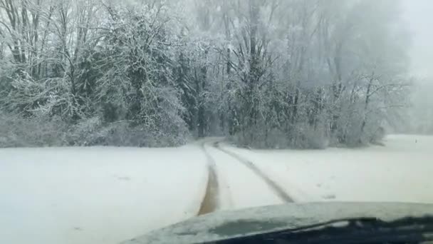 冷たい雪の冬の吹雪を観察する — ストック動画