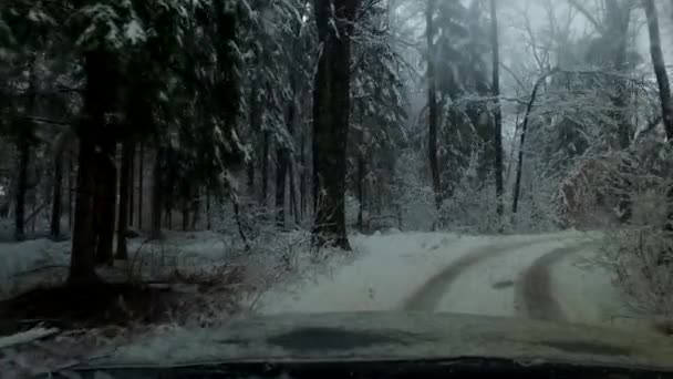 Beobachtung Des Kalten Schneesturms Winter — Stockvideo