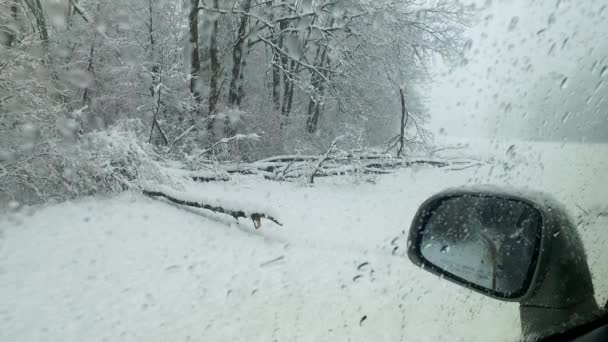 Het Observeren Van Koude Sneeuw Winter Sneeuwstorm — Stockvideo