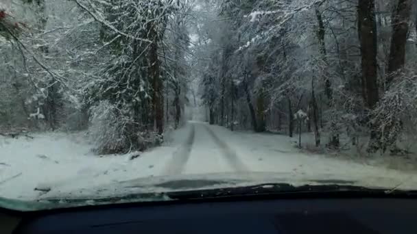 Observando Neve Fria Inverno Nevasca — Vídeo de Stock