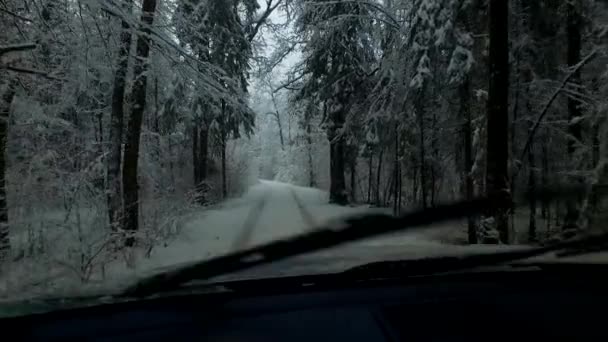 冷たい雪の冬の吹雪を観察する — ストック動画