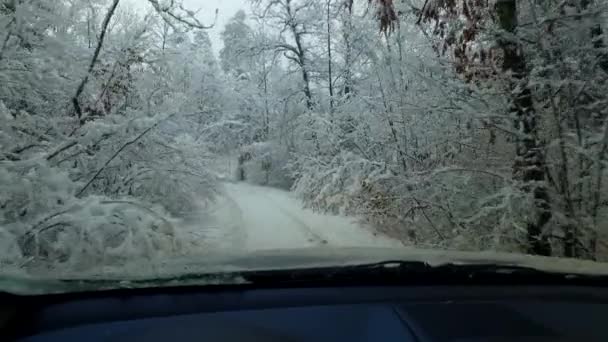 观测寒冷的雪冬暴风雪 — 图库视频影像