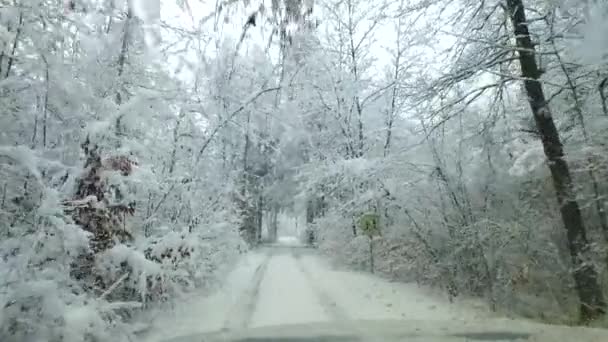 冷たい雪の冬の吹雪を観察する — ストック動画