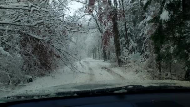 Beobachtung Des Kalten Schneesturms Winter — Stockvideo