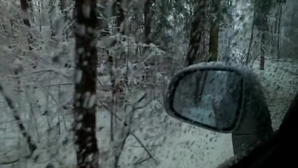 Beobachtung Des Kalten Schneesturms Winter — Stockvideo