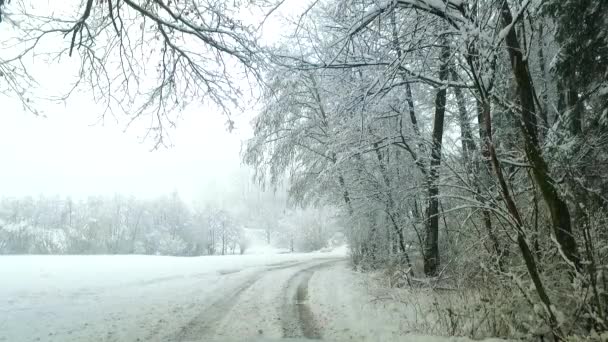 Observando Neve Fria Inverno Nevasca — Vídeo de Stock