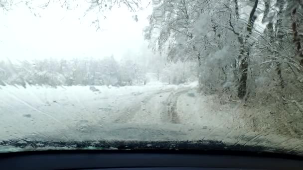 Observation Kall Snö Vinter Snöstorm — Stockvideo